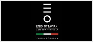 Enio ottaviani